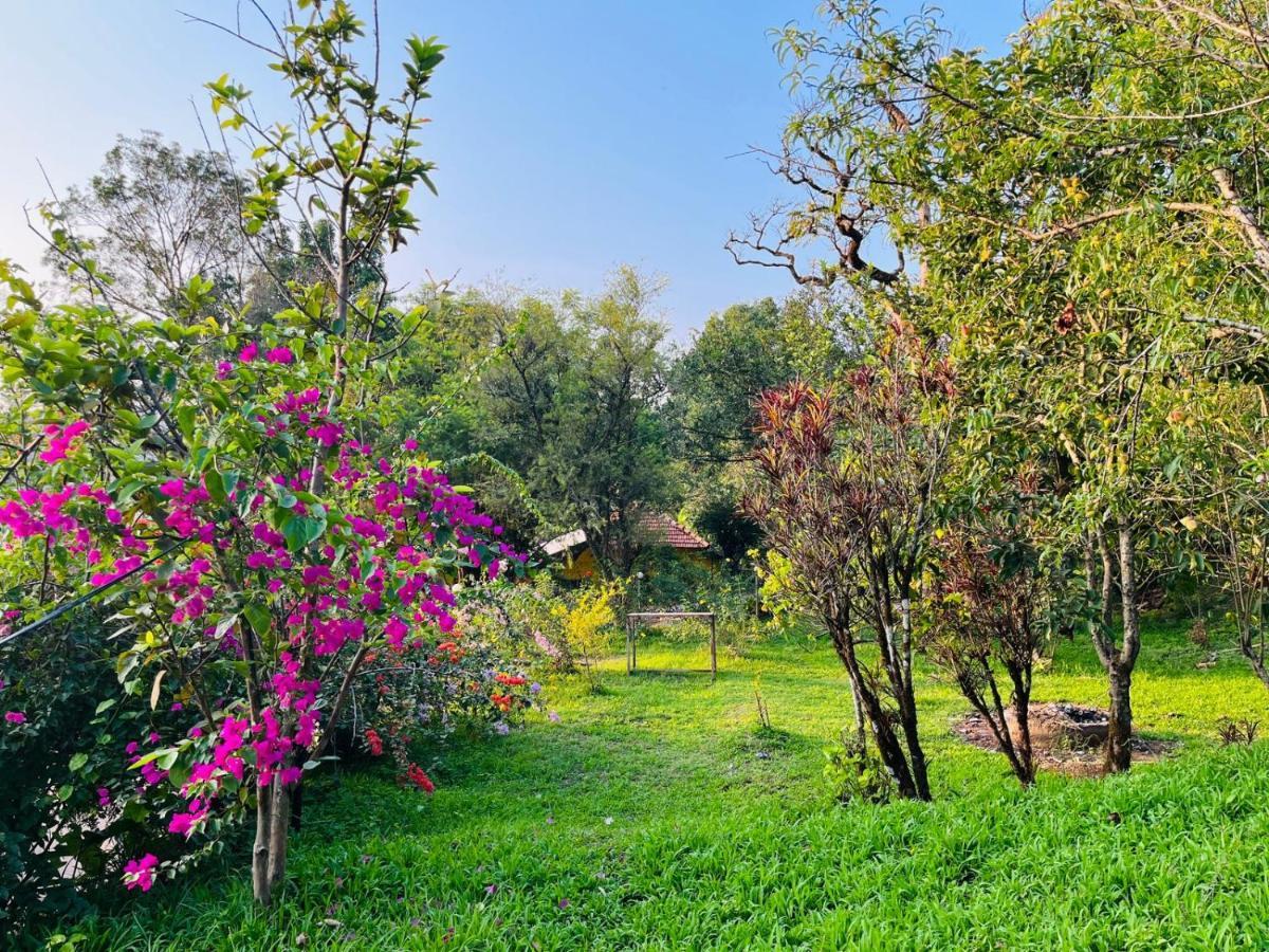 Coorg Daffodil Guesthouse Мадикери Екстериор снимка